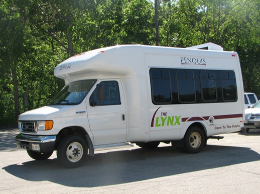 White public transport bus in parking lot